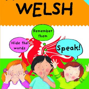 More Hide and Speak Welsh