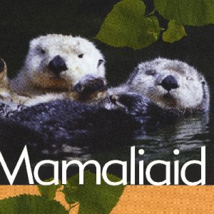 Cyfres Ffeithiau! Anifeiliaid: Mamaliaid