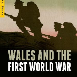 Wales and the First World War (Pocket Books)