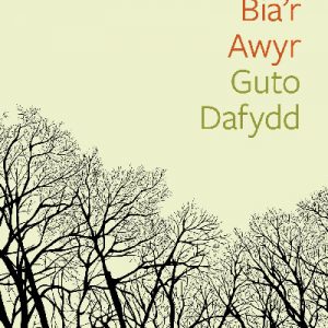 Cyfres Tonfedd Heddiw: Ni Bia'r Awyr