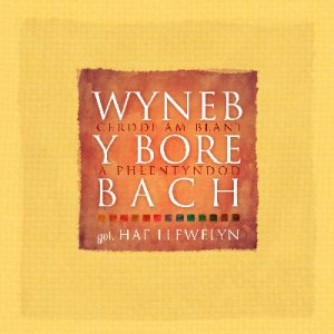 Wyneb y Bore Bach - Cerddi am Blant a Phlentyndod