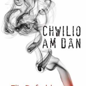 Cyfres Tonfedd Heddiw: Chwilio am Dân