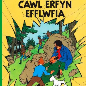 Cyfres Anturiaethau Tintin: Cawl Erfyn Efflwfia