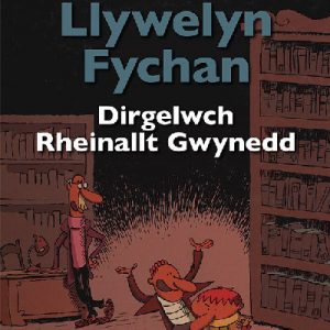 Llywelyn Fychan: Dirgelwch Rheinallt Gwynedd