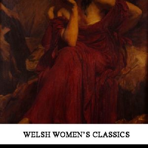 Welsh Witch, A - A Romance of Rough Places