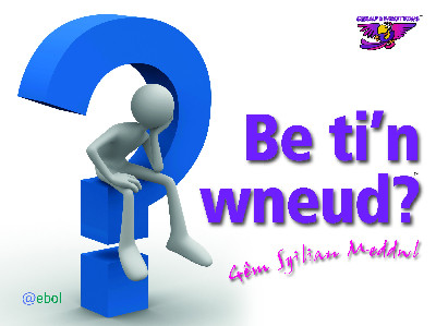 Gemau'r Parot Piws: Be Ti'n Wneud? Gêm Sgiliau Meddwl