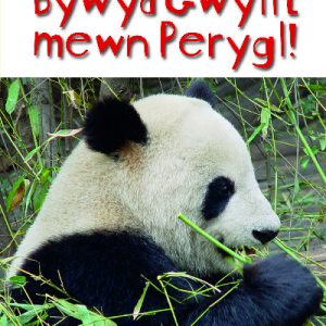 Cyfres Bling: Bywyd Gwyllt Mewn Perygl!