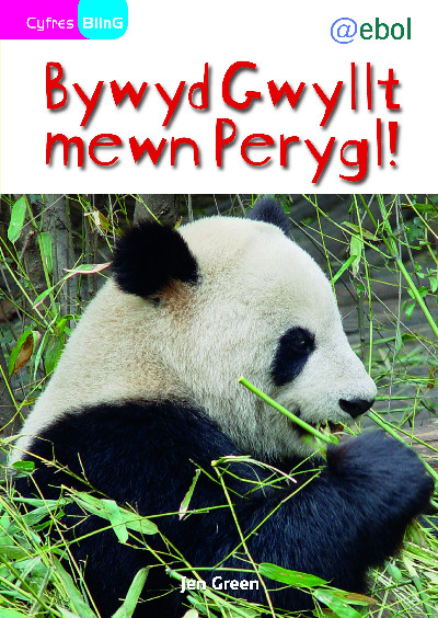Cyfres Bling: Bywyd Gwyllt Mewn Perygl!