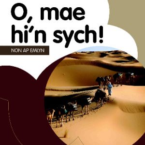 Cyfres Dysgu Difyr: O, Mae Hi'n Sych!