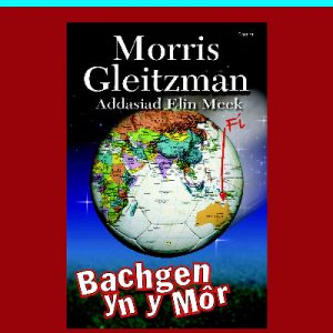 Help Llaw Gydag Astudio: Bachgen yn y Môr - Cymraeg TGAU