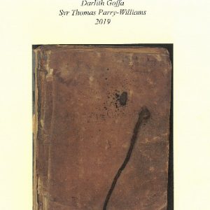 Gyfrol Ryfedd ac Ofnadwy Honno, Y': T. H. Parry-Williams a Llyfr