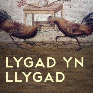 Lygad yn Llygad