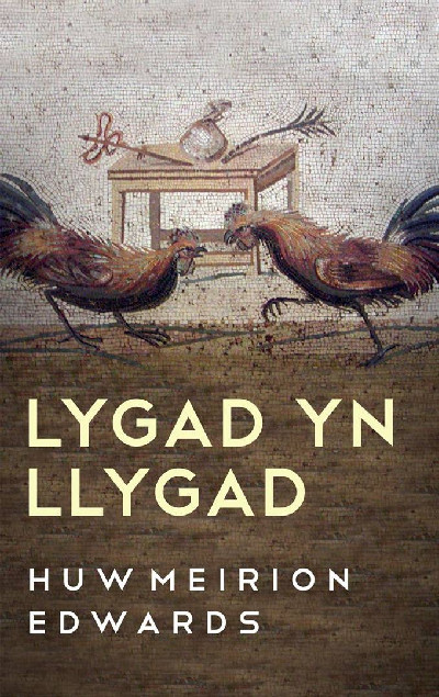 Lygad yn Llygad