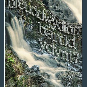 Ai Breuddwydion Bardd Ydynt?