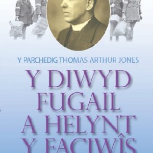Diwyd Fugail a Helynt y Faciwîs, Y