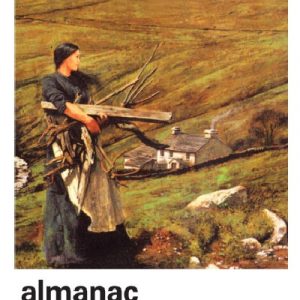 Almanac: Yearbook of Welsh Writing in English, No. 16