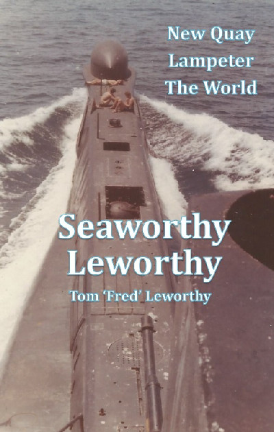 Seaworthy Leworthy - New Quay, Lampeter, The World