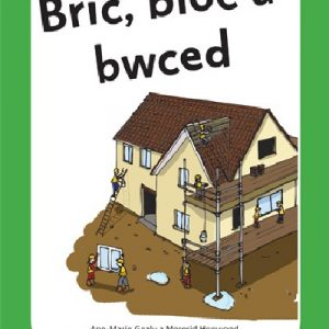 Archwilio'r Amgylchedd Awyr Agored yn y Cyfnod Sylfaen - Cyfres 2: Bric, Bloc a Bwced