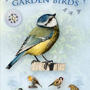 Let's Look for Garden Birds