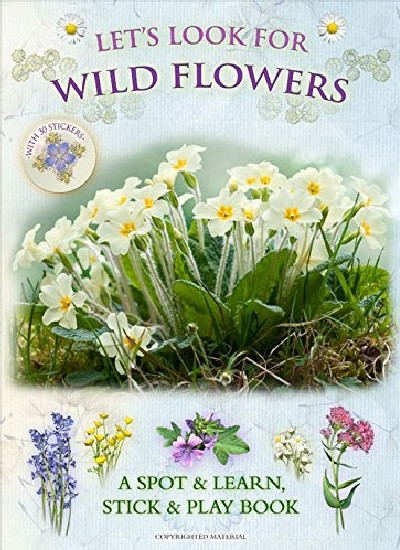 Let's Look for Wild Flowers - A Spot & Learn, Stick & Play Book