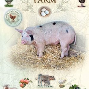 Let's Look on the Farm - A Spot & Learn, Stick & Play Book