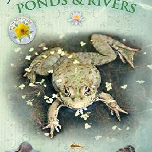 Let's Look in Ponds and Rivers - A Spot & Learn, Stick & Play Book