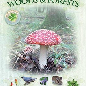 Let's Look in Woods & Forests - A Spot & Learn, Stick & Play Book