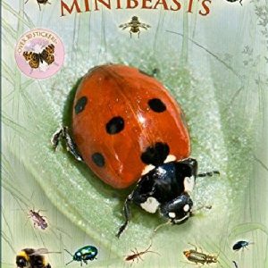 Let's Look for Minibeasts - A Spot & Learn, Stick & Play Book