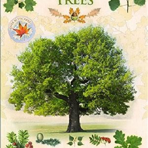 Let's Look for Trees - A Spot & Learn, Stick & Play Book