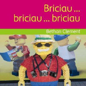 Cyfres Darllen Difyr: Hwyl! - Briciau ... briciau ... briciau