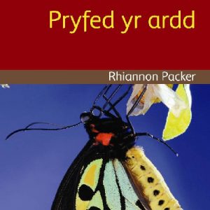 Cyfres Darllen Difyr: Bach! - Pryfed yr ardd