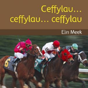 Cyfres Darllen Difyr: Gweithgar! - Ceffylau... ceffylau... ceffylau