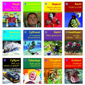 Pecyn Darllen Difyr 2