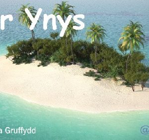 Llythrennedd Thematig: Yr Ynys - Cardiau