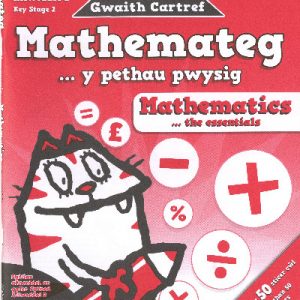 Help gyda Gwaith Cartref - Mathemateg, Y Pethau Pwysig