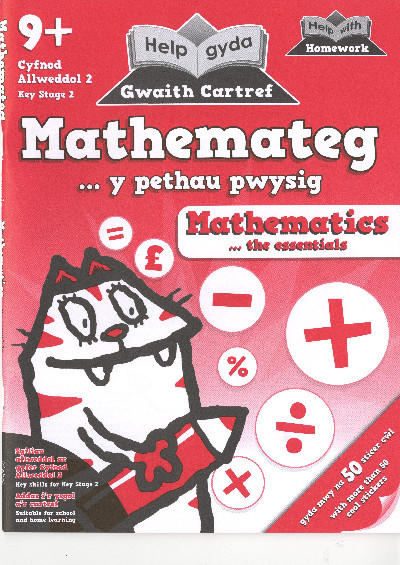 Help gyda Gwaith Cartref - Mathemateg, Y Pethau Pwysig
