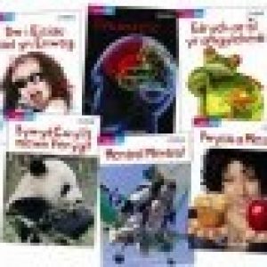 Cyfres Bling - Y Pecyn