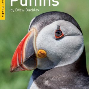 Puffins (Pocket Books)