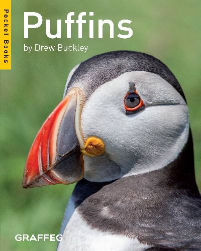 Puffins (Pocket Books)