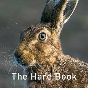 Nature Book Series: The Hare Book