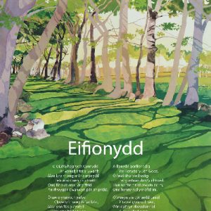 Eifionydd