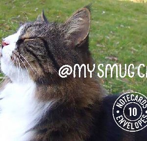 My Smug Cat Notecards