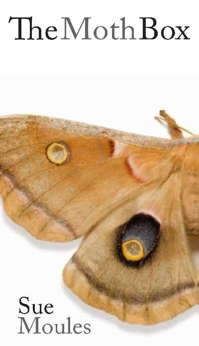 Moth Box, The