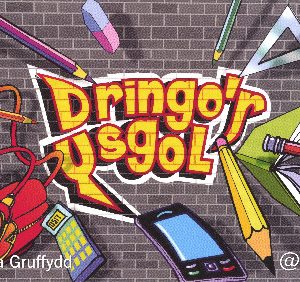 Pecynnau Thematig Llythrennedd a Rhifedd - Dringo'r Ysgol - Cardiau a CD