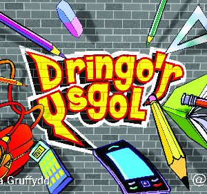 Pecyn Thematig Llythrennedd a Rhifedd: Dringo'r Ysgol - Cardiau