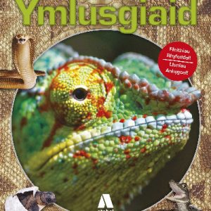 Ymlusgiaid
