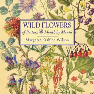 Wild Flowers of Britain - Month by Month