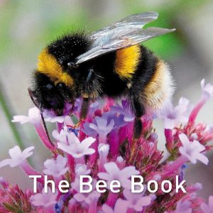 Nature Book Series: The Bee Book