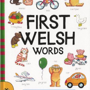 First Welsh Words Board Book