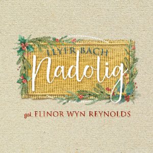 Llyfr Bach Nadolig